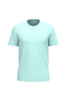 Ice Mint